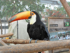 神戸花鳥園3